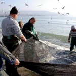 Отразяват ли атаките с дронове в Черно море на риболова у нас