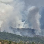 Анализ на WWF: Над 90% от горските пожари у нас са резултат от човешка намеса