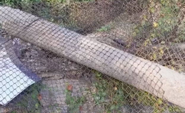 Шофьор се блъсна в стълб на габровска улица и го