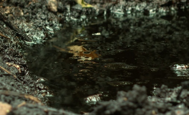 Повече от месец в столичния квартал Младост нефт извира от