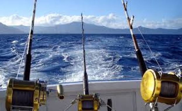 Как климатичните промени разрушават традициите и риболова в Адриатическо море