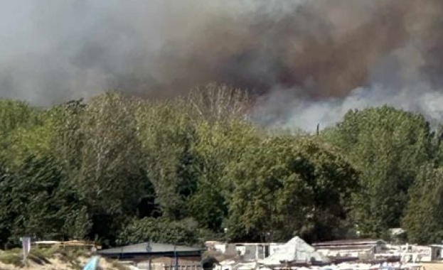 Огромен пожар избухна в гората над Созопол близо до Каваци