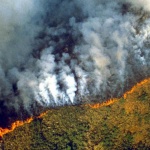 Хиляди жители са евакуирани заради два рекордни по площ горски пожара в Северна Япония; има загинал