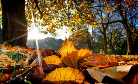 Слънчево време утре
