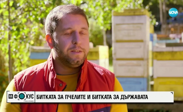 Битката за пчелите