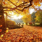 Дойде ли есен...