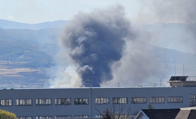 Голям пожар гори край Пловдив предаде репортер на Фокус Според