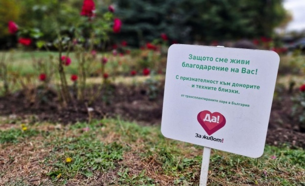 На 17 10 от 17 00ч шестнадесет рози ще бъдат засадени в