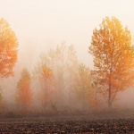 Мъгливо в равнините, слънчево в планините