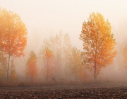 Облачно и мъгливо време утре