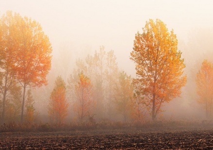 Мъгливо в равнините, слънчево в планините