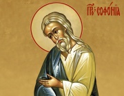 Св. прор. Софония. Св. свщмчк Теодор, архиеп. Александрийски
