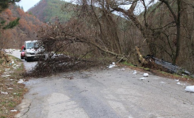 Лек автомобил самокатастрофира край Благоевград днес Инцидентът стана към 15 20