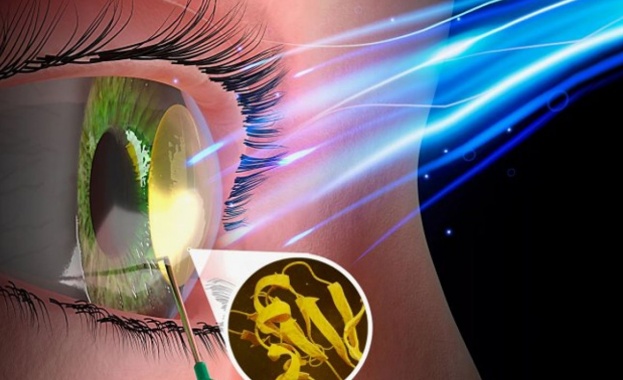 Създателят на първата изкуствена роговица с консултация за български