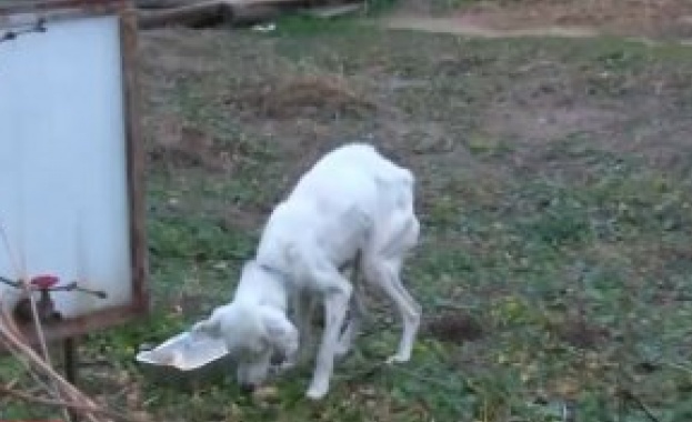 Откриха живо на 13 годишния Николай от старозагорското село Конаре научи