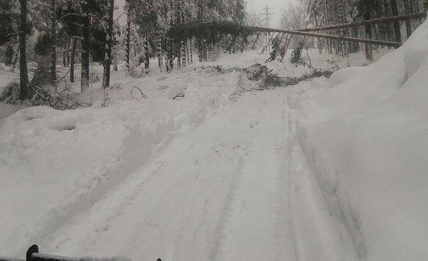 Републиканските пътища са почистени и проходими при зимни условия като