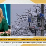 След падналия сняг: Защо се стигна до кризата с тока