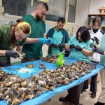 „Зелени Балкани“ отговориха на нападките за мъртвите птици: Не са отровени, не е и птичи грип