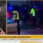 Защо се стигна до челната влакова катастрофа край Локорско? Коментар на експерти