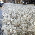 ВиК авария превърна плевенска улица в приказка