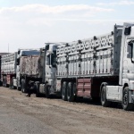 Първи камиони с хуманитарна помощ влязоха в ивицата Газа