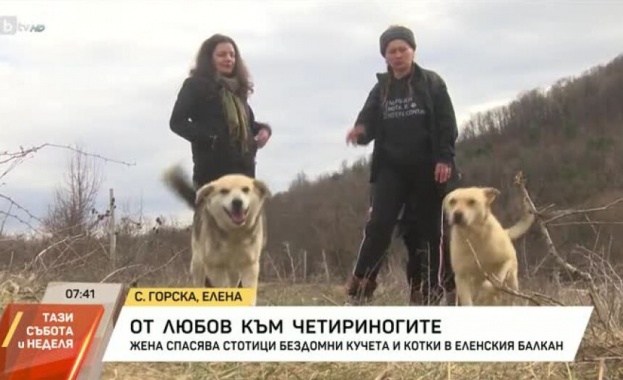 Спасителен център за стотици бездомни животни е сгушен в безлюдно