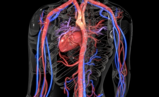 Векове наред хората са мечтали да преместят границите на стареенето