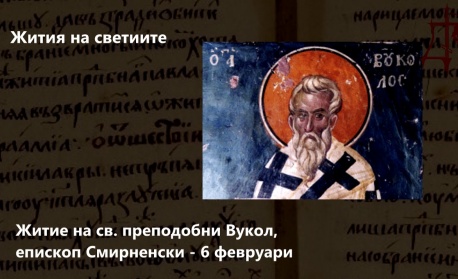 Преп. Вукол, еп. Смирненски. Св. Фотий, патр. Константинополски. Преп. Варсануфий Велики. Св. Йоан Пророк. Св. мчци Доротея, Христина и Калиста