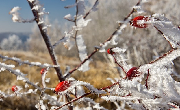 В сутрешните часове на места ще има намалена видимост През