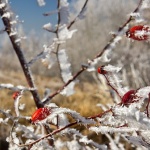 Мразовито утро и във вторник
