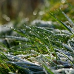 София до 13°, опасност от слани на североизток