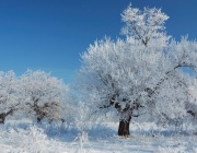 И за утре жълт код за опасно студено време