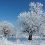 Жълт код за много студено време 