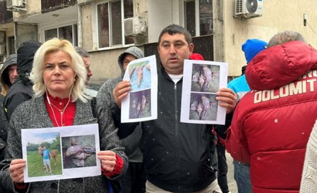 Недоволство заради кражби в Карловско Повече от 50 животновъди в