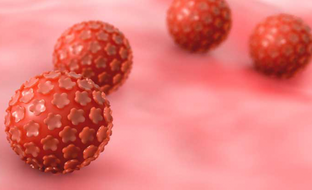 Национална програма за първична профилактика на ракови заболявания причинени от