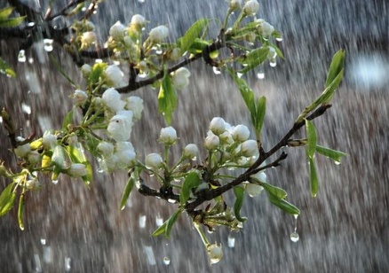 Застудяване и валежи от дъжд и сняг през новата седмица