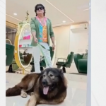 Продадоха най-скъпото куче в света за близо 10 млн. лева 