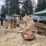 Карвинг с кауза в Пампорово