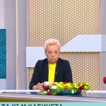 Реалистичен сценарий ли са предсрочни избори след конвергентния доклад