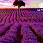 Министърът на туризма Мирослав Боршош: Първите 100 дни на 100%