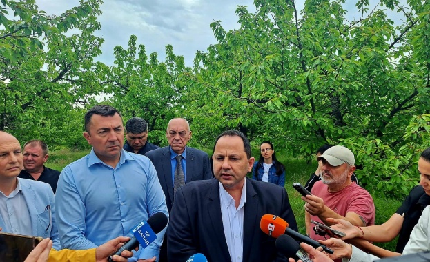 Земеделски стопани подадоха заявления за измръзване за над 300 000 декара