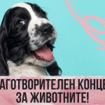 Благотворителен концерт-протест срещу насилието над животни събира българските изпълнители