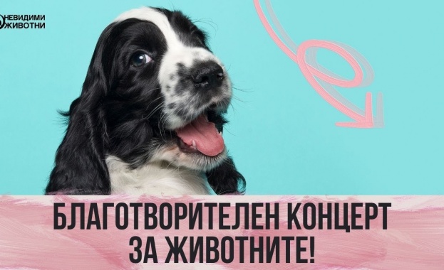 Благотворителен концерт-протест срещу насилието над животни събира българските изпълнители