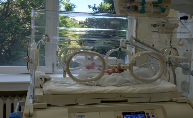 В България статистиката е тревожна всяка година над 6000