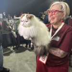 Международна изложба на котки в София