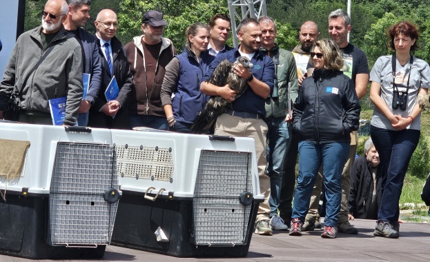 Електроразпределение Юг ще обезопаси 33 стълба по международния проект „Живот за брадатия лешояд“, който на 17 май проведе първо освобождаване на брадати лешояди в природата 