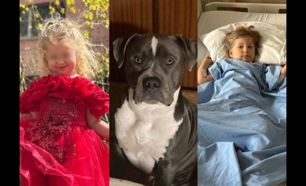 4-годишно дете пострада тежко след нападение от домашен питбул