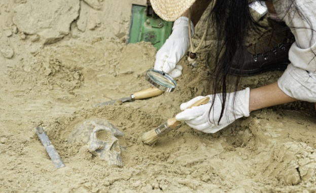 Череп на Homo erectus древен предшественик на човека беше открит