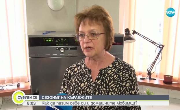 Д-р Снежана Иванова: В момента започва пикът на кърлежово преносимите болести. Защото времето го позволява Д-р Снежана Иванова: В момента започва пикът на кърлежово преносимите болести. Защото времето го позволява