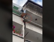 Сигнал за насилие над котка разтърси мрежата